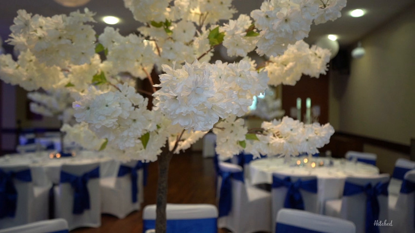  Wedding highlights