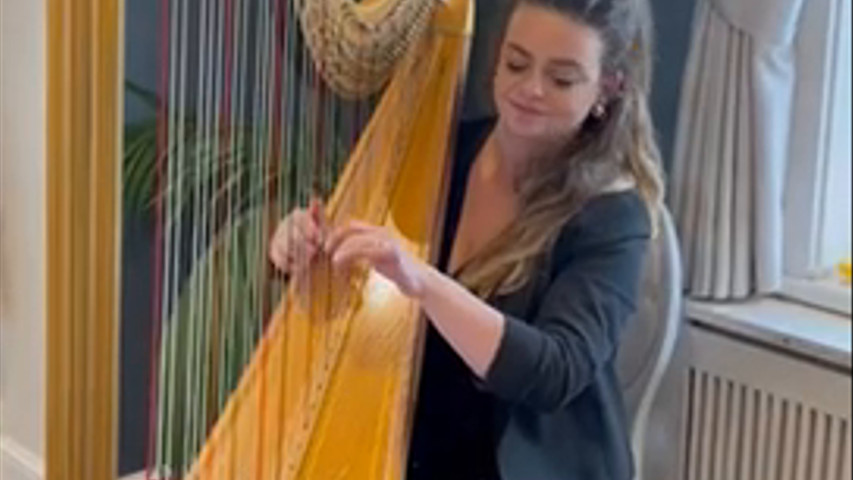 Harpist courtesy of @essencemusic 