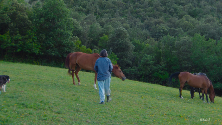 Agriturismo La Fonte