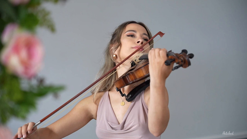 Book a wedding violinist 