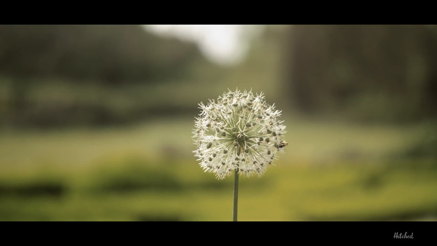 Sandon Manor wedding - Jaz & Michael 25.05.24