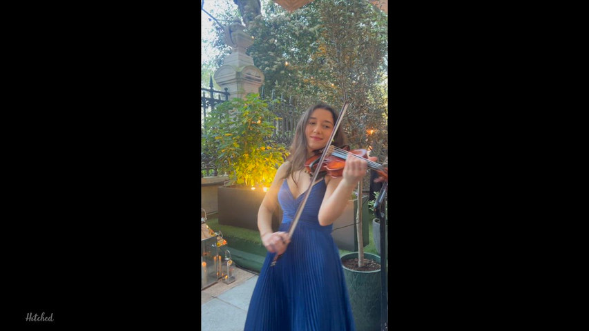 Roaming Violinist 
