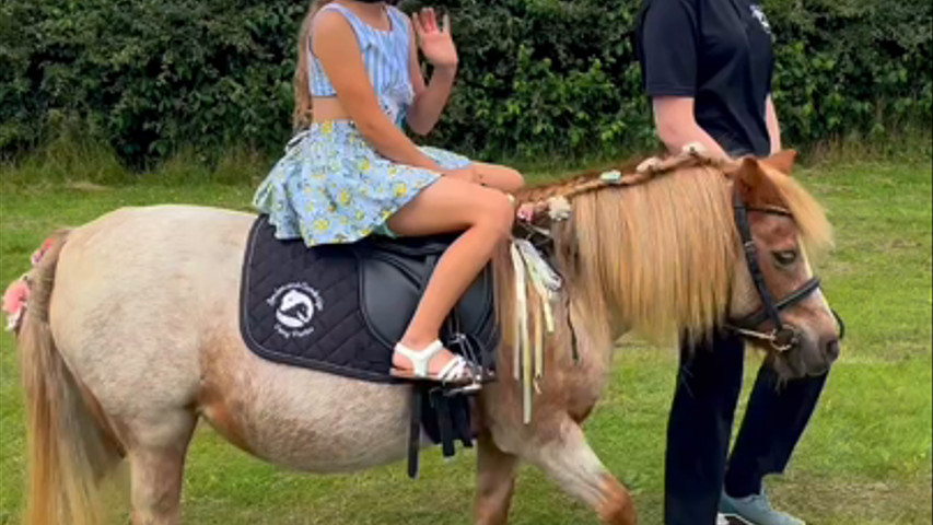 Pony Rides for your Wedding Day 