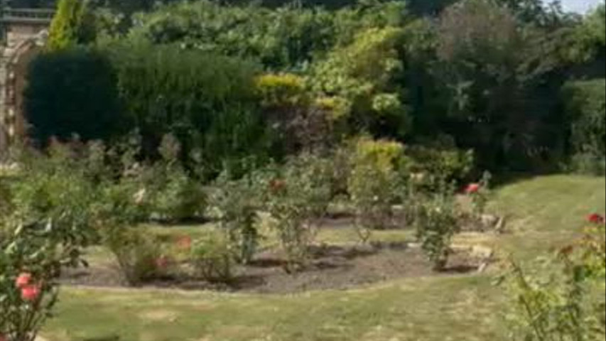 Rose garden