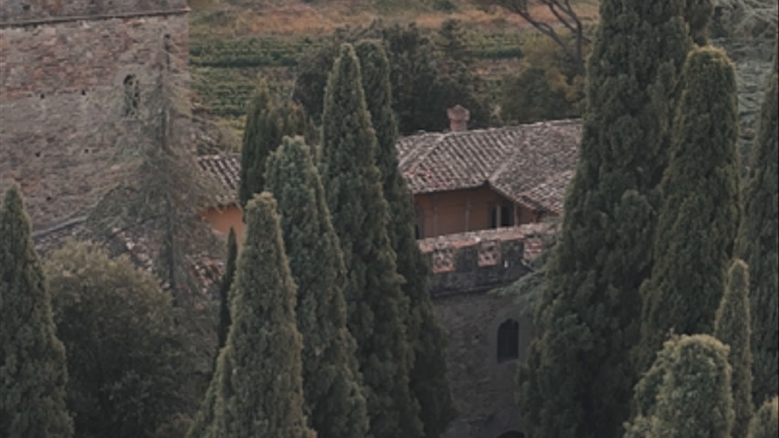 Aerial view of castle