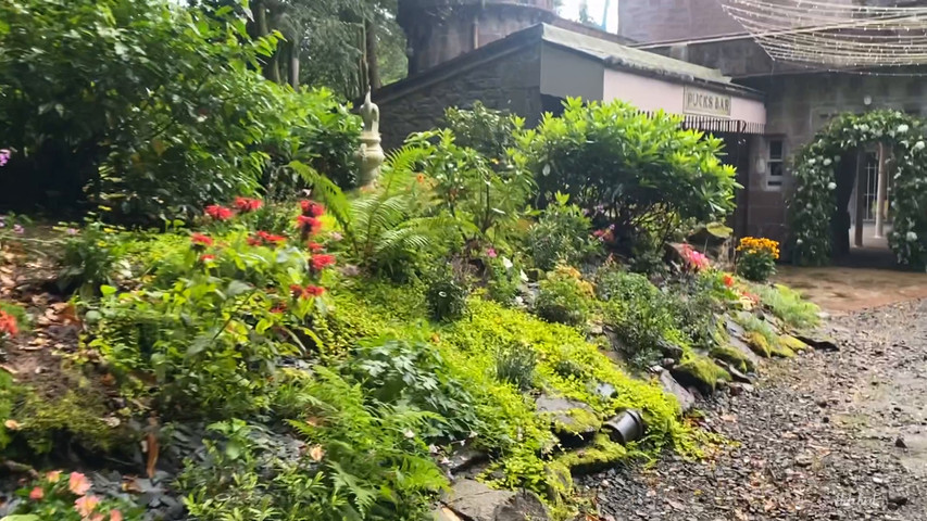 Our magical walkway into the castle 