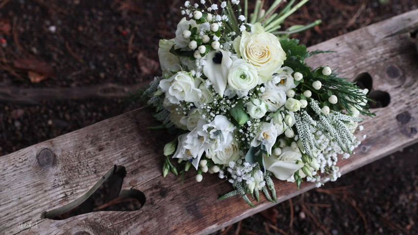 Beamish Hall / Leeanne & David winter wedding