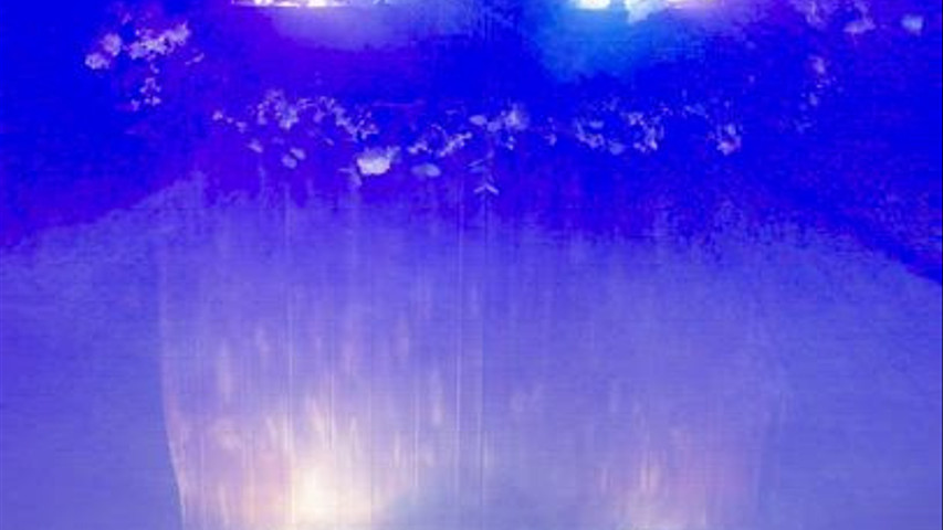 We all love a mirror ball 177851249795505