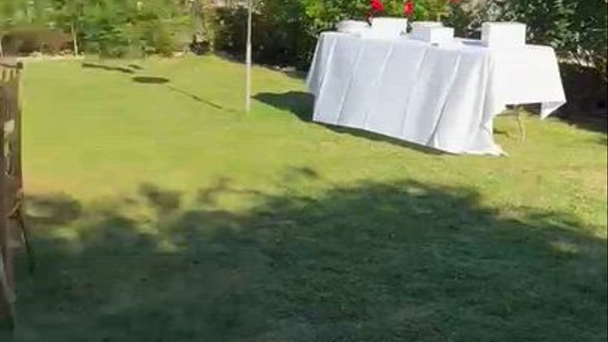 Wedding Catering 