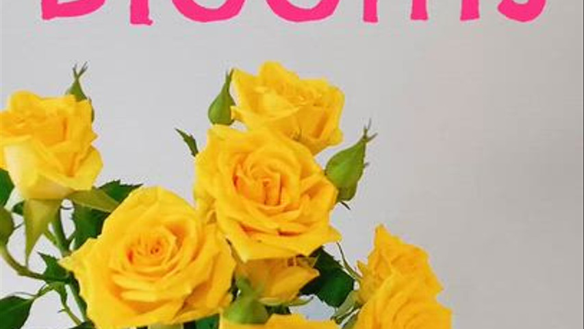 Zesty Seasonal Flowers