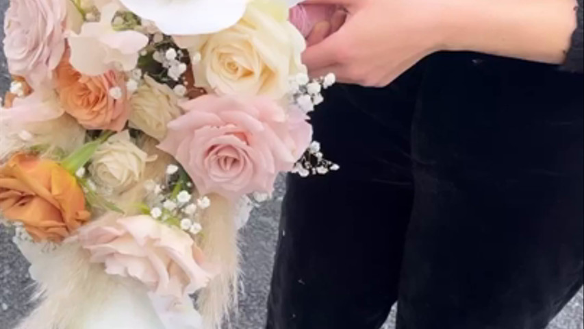 Gypsophila Wedding