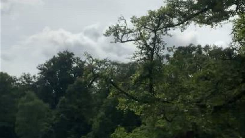 Ok Ponies... not horses lol