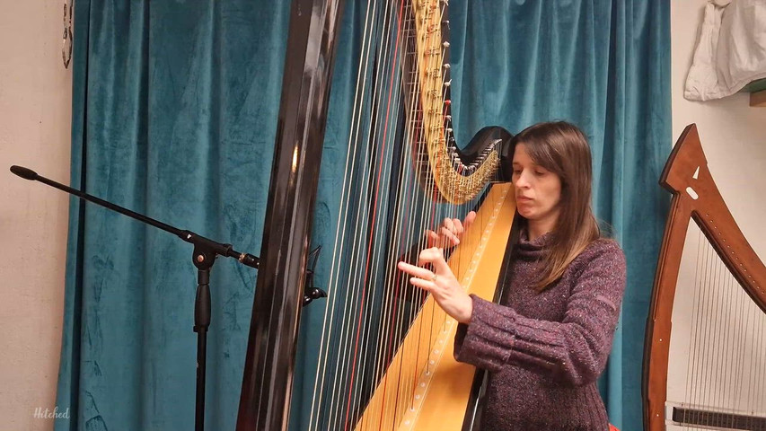 Can you feel the love tonight- Elton John - Harp cover 