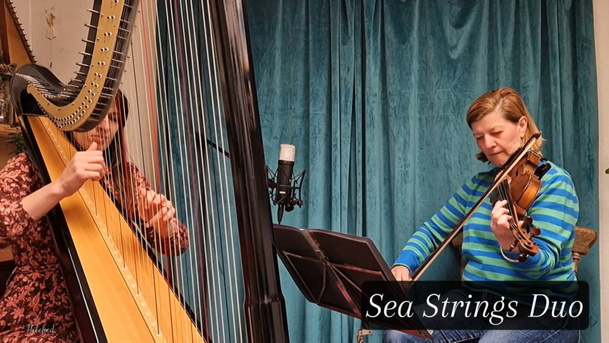 Ordinary- Alex Warren - Harp and Violin