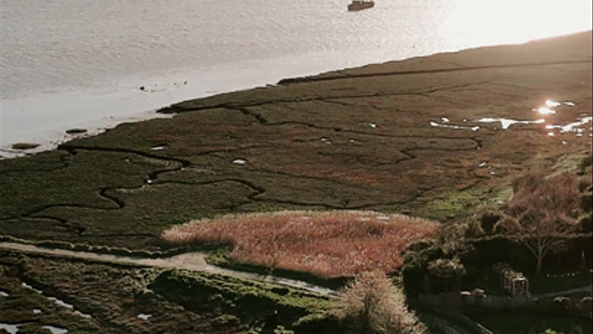 The Swale estuary