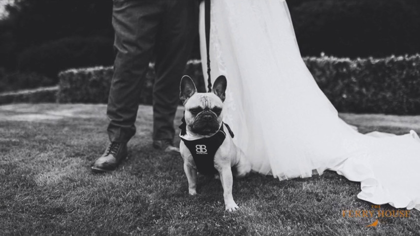 The Ferry House Ceremony Options