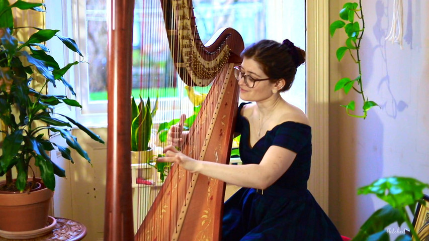 Sam MacAdam Harpist