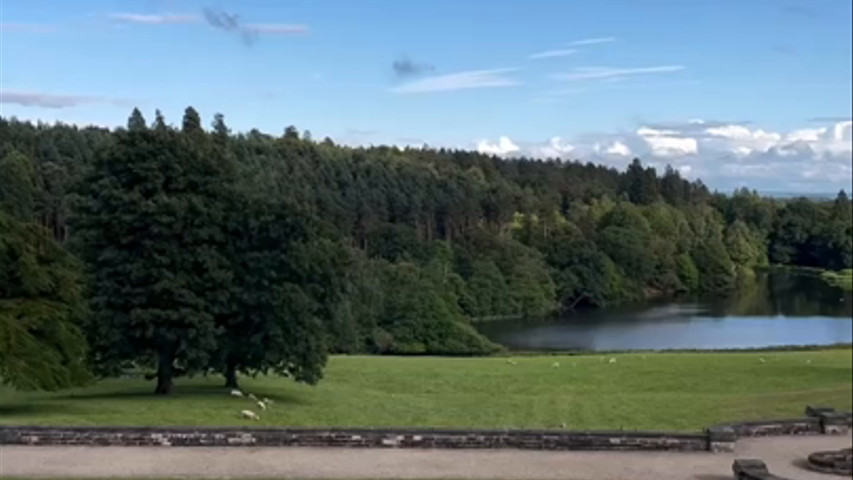 Lake View