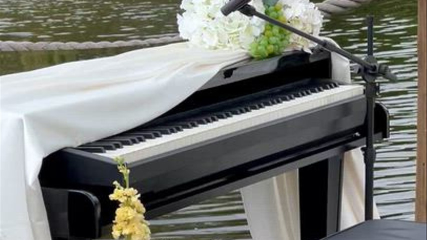 Piano shell 