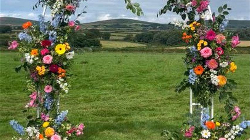 Colourful flower arch