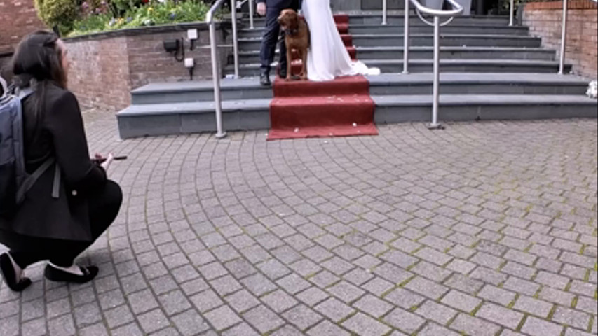 The dog was not happy about missing the ceremony! 