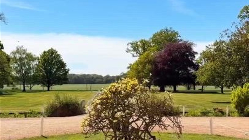 The quiet of the grounds