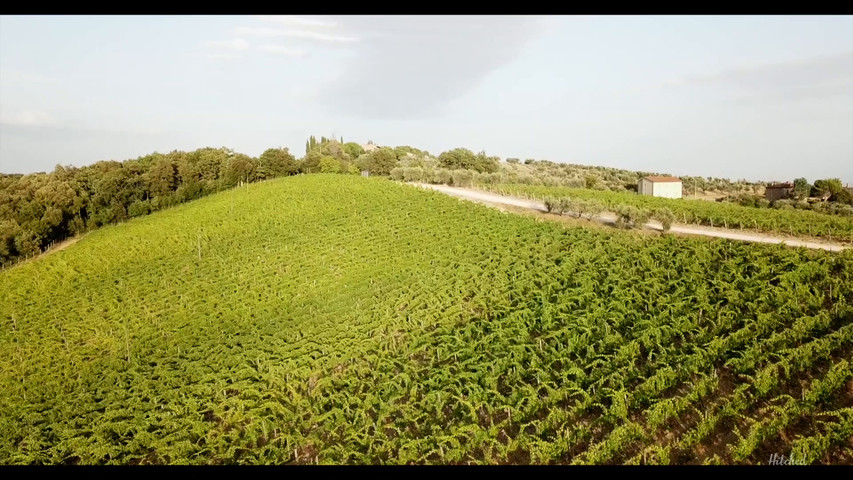 Fattoria di Corsignano
