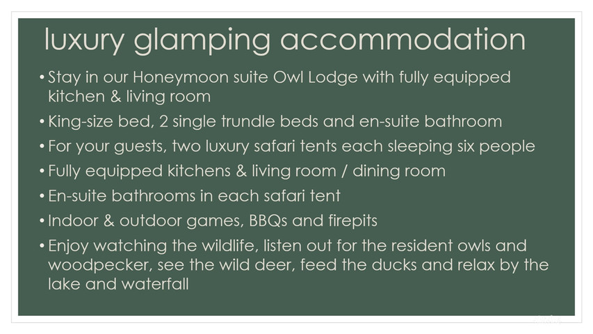 Worth Forest Weddings and Glamping