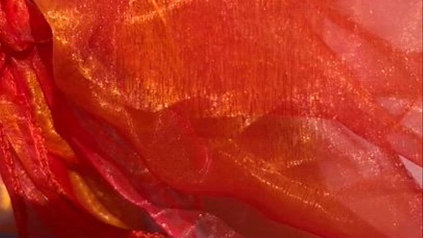 Organza bows 
