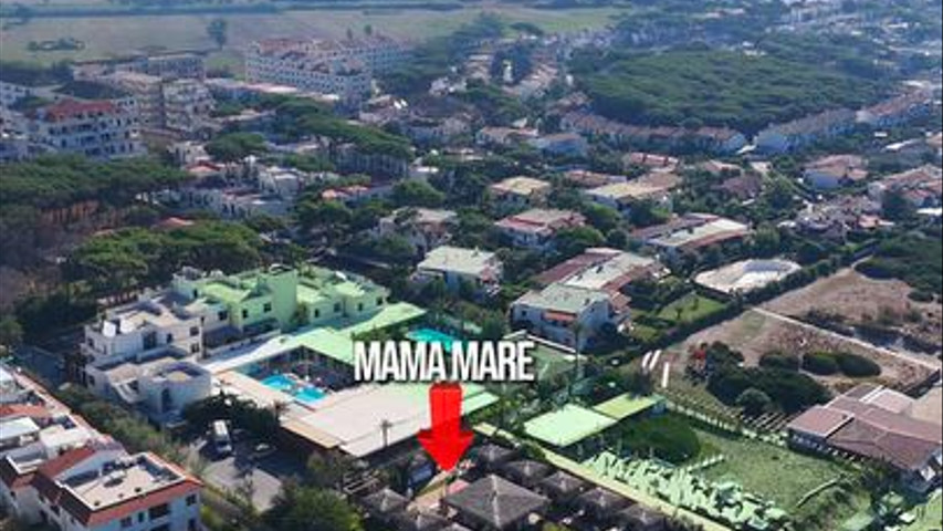 Wedding mama 10 179223543786256