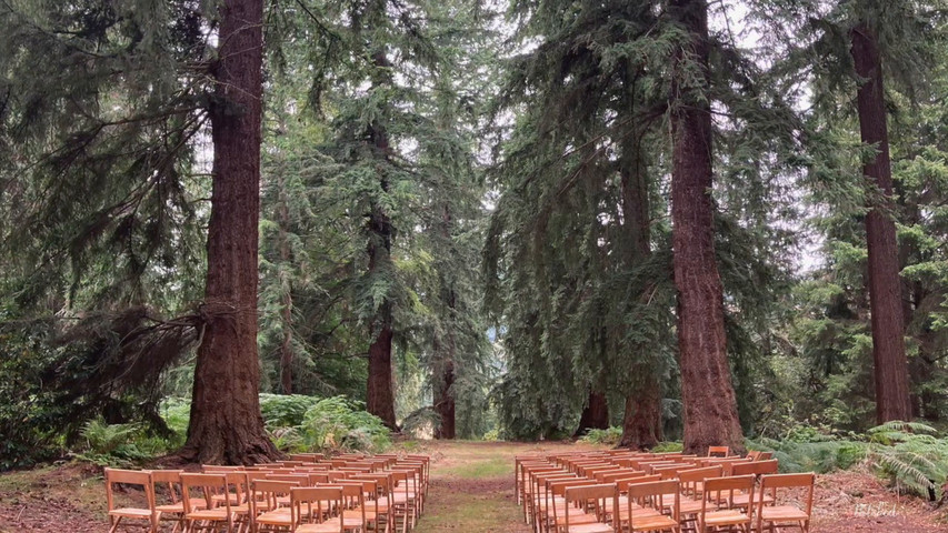 An outdoor wedding in August