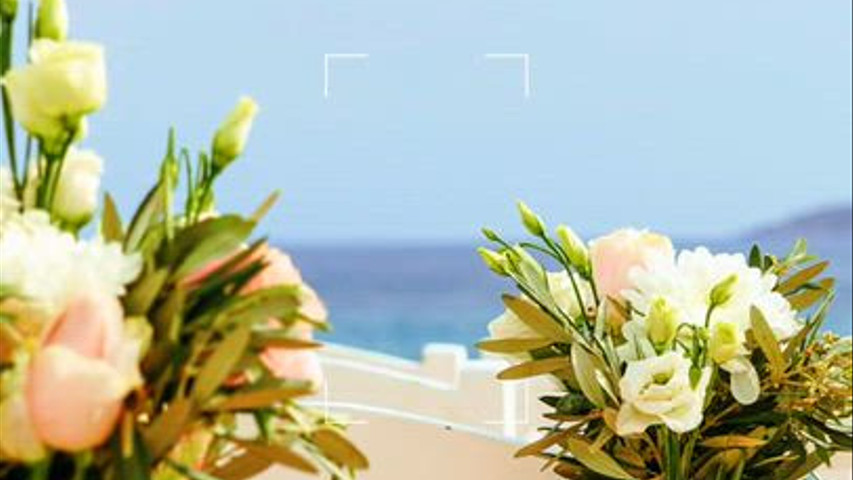 Wedding Theme