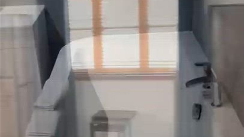 The Vu