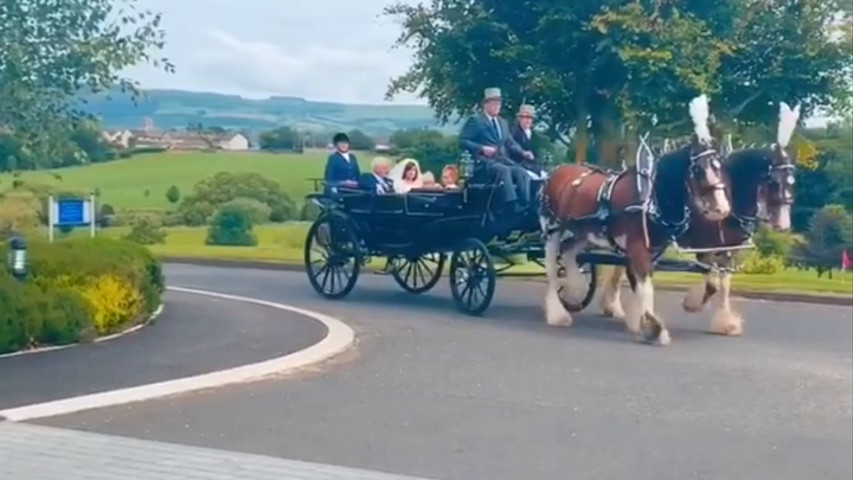 Bride Arriving