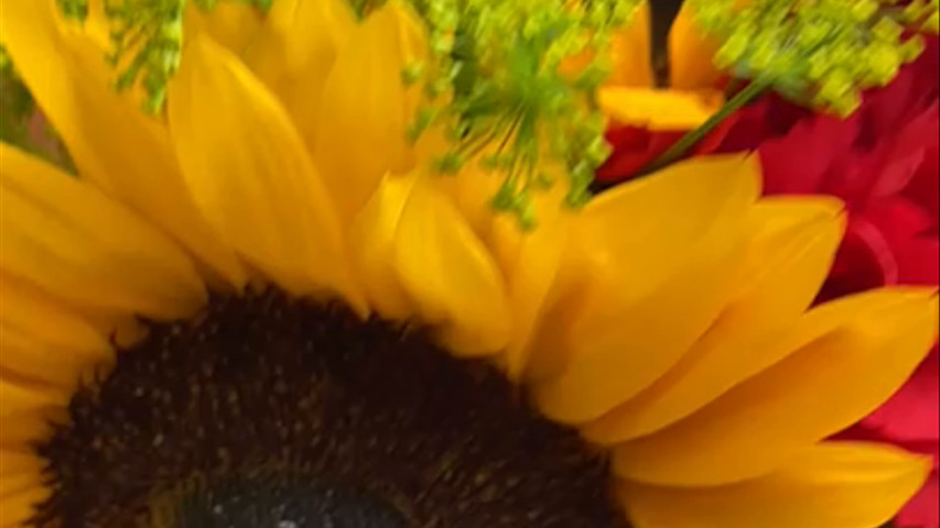 Sunflower and brights bouquet 