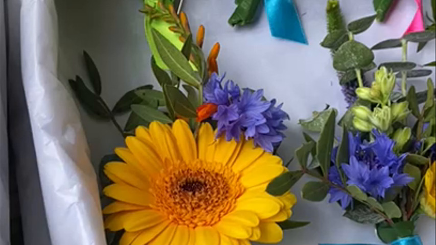 Colourful buttonholes 