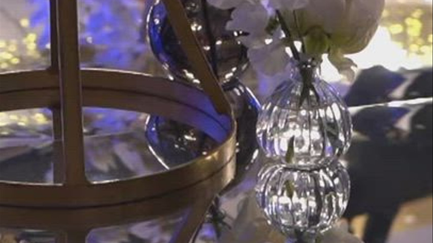 Dazzle Wedding Reception