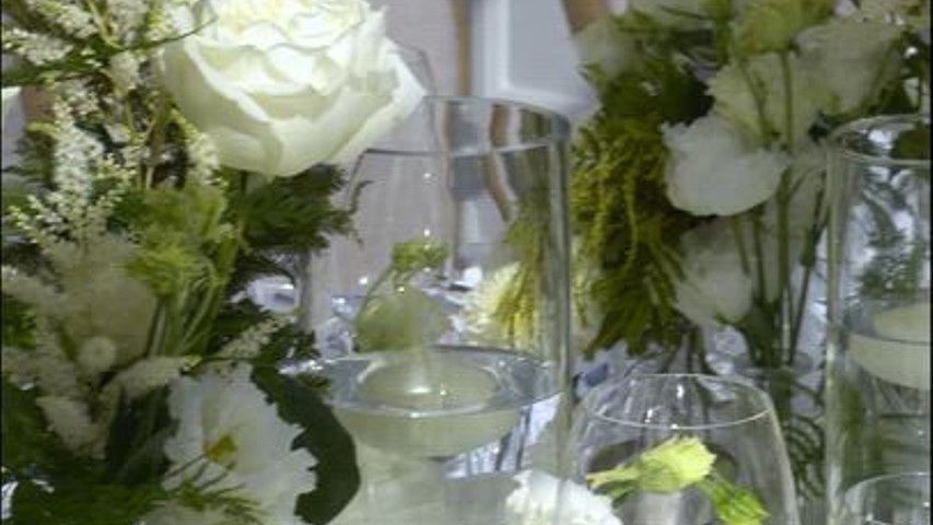 Every white blooms tells your story