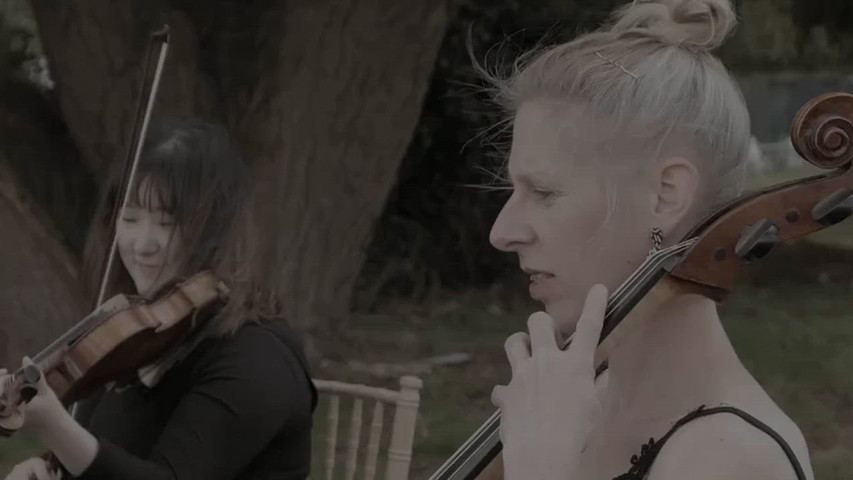 Sarabande Strings Duo