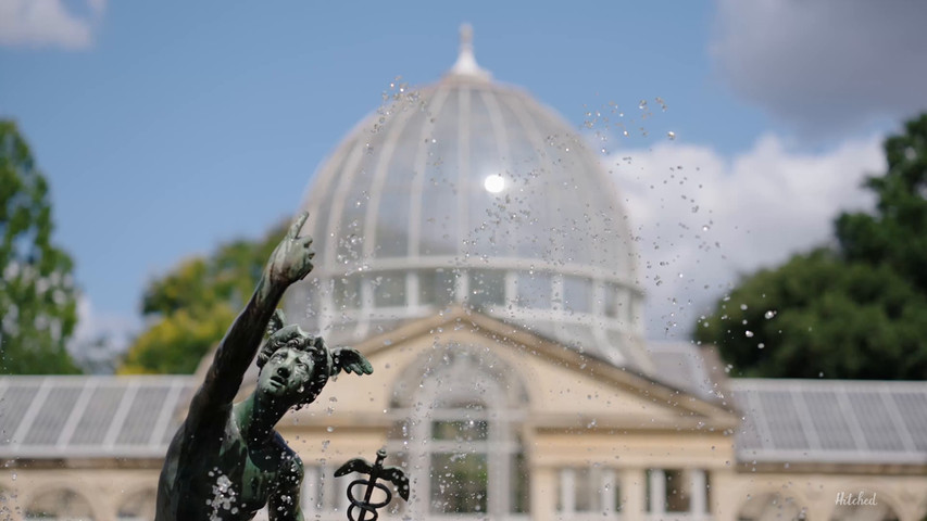 Syon Park Conservatory reception