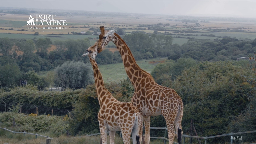 Port Lympne Weddings