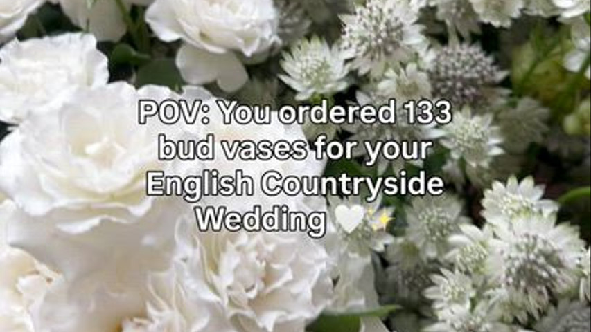 Signture Bud Vase Collection 