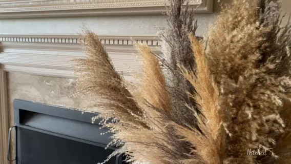 Pampas Grass Display 