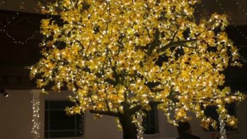 Autumn Wedding at the Amadeus