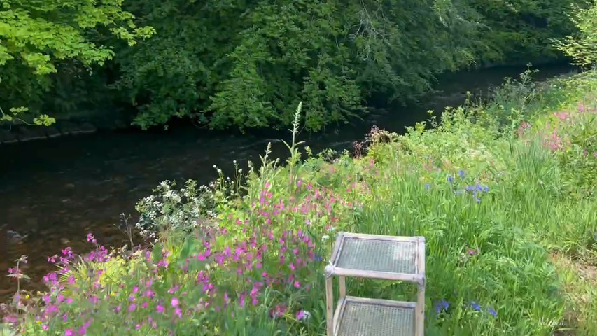 Wildswim2sauna riverside camp