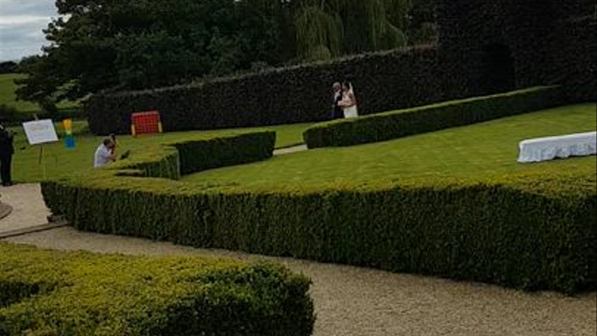 Here come the bridal party