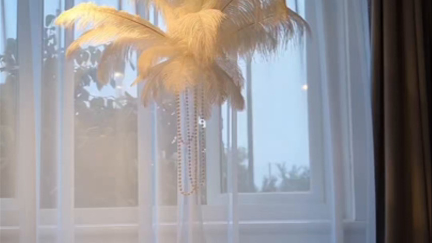 Feathers 