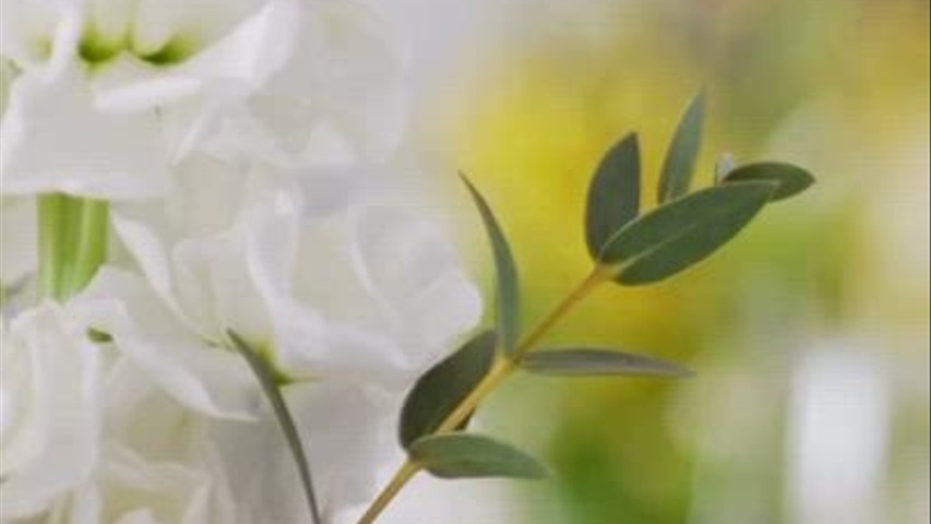 Spring wedding