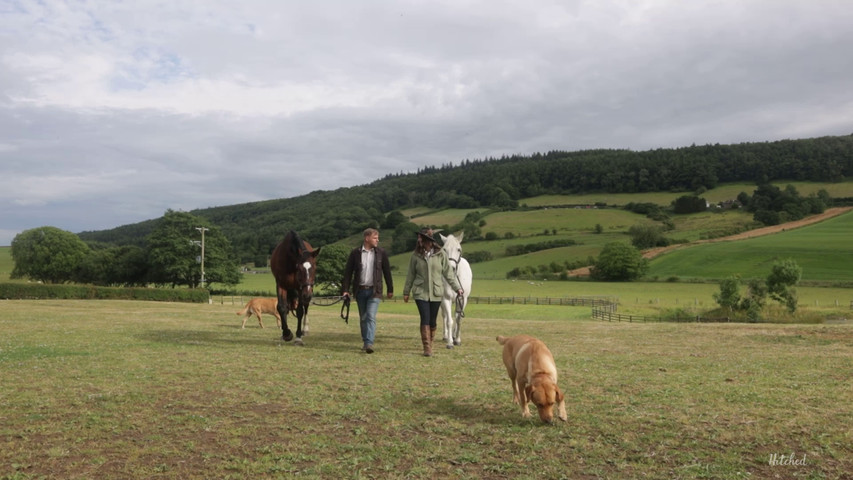 Engagement Film Highlights