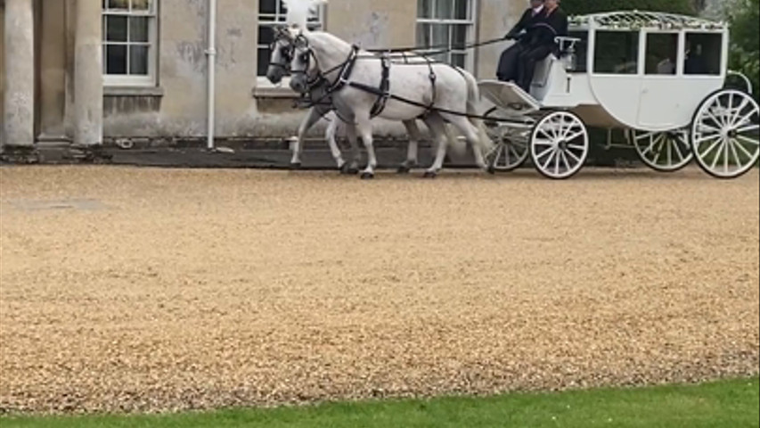 Horse and carriage
